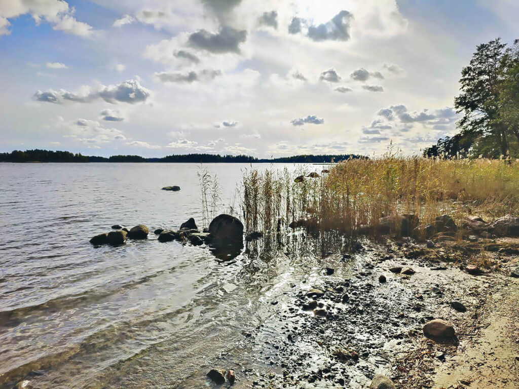 Valtuustoaloite, Hanasaari